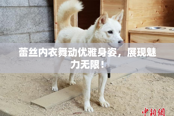 蕾丝内衣舞动优雅身姿，展现魅力无限！
