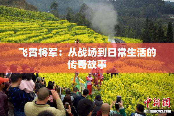 飞霄将军：从战场到日常生活的传奇故事