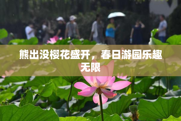 熊出没樱花盛开，春日游园乐趣无限