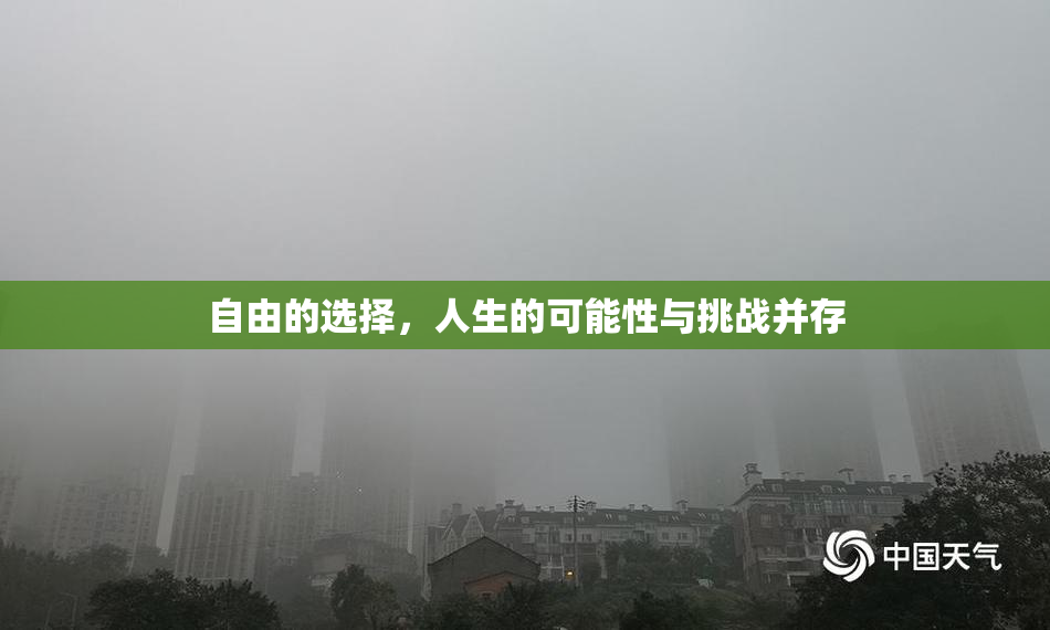 自由的选择，人生的可能性与挑战并存