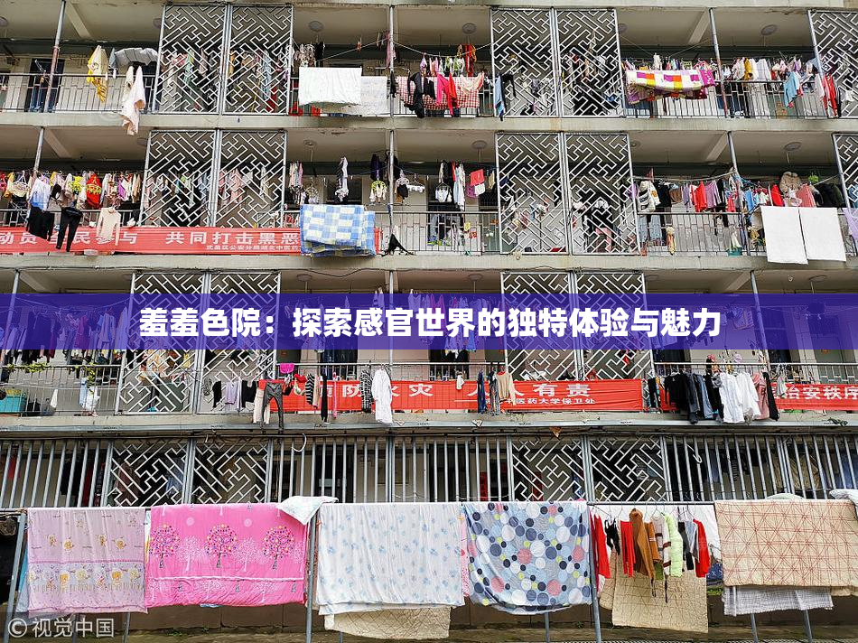 羞羞色院：探索感官世界的独特体验与魅力