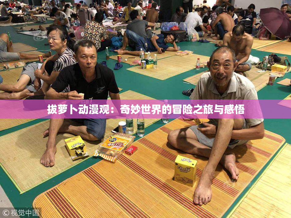 拔萝卜动漫观：奇妙世界的冒险之旅与感悟