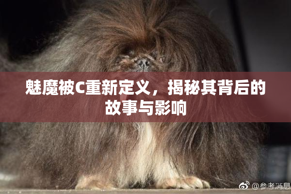 魅魔被C重新定义，揭秘其背后的故事与影响