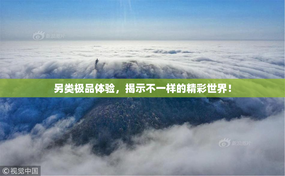 另类极品体验，揭示不一样的精彩世界！