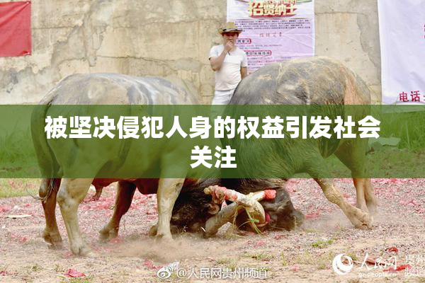 被坚决侵犯人身的权益引发社会关注