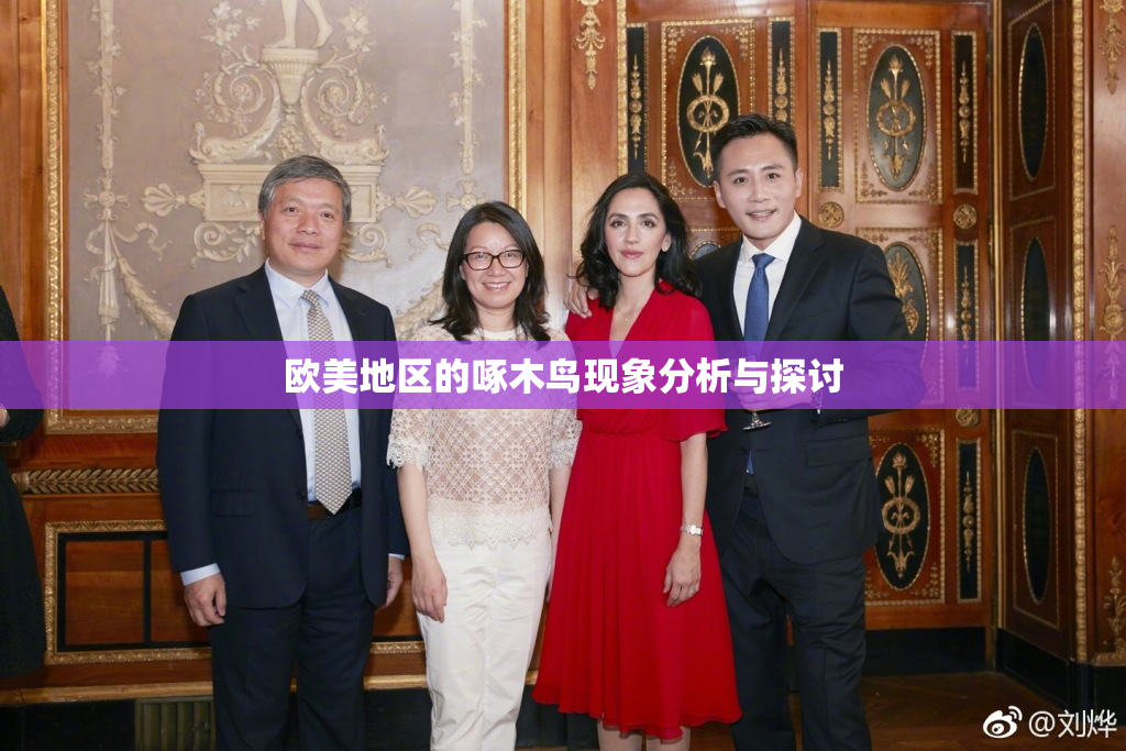 欧美地区的啄木鸟现象分析与探讨