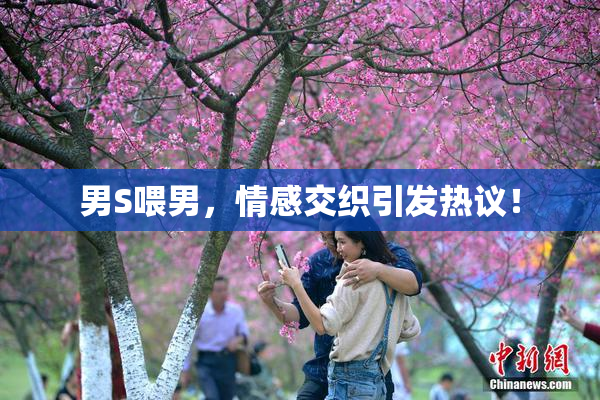 男S喂男，情感交织引发热议！