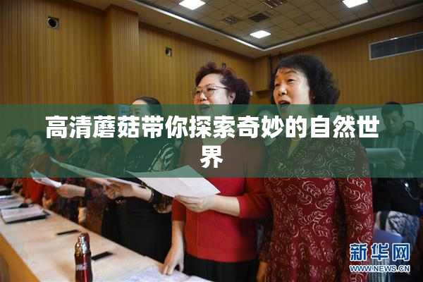 高清蘑菇带你探索奇妙的自然世界