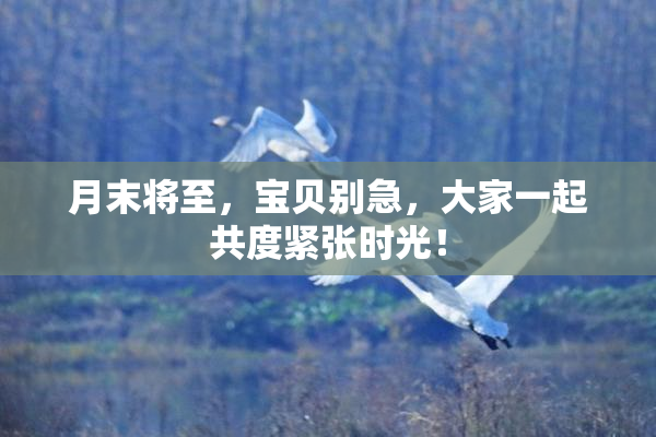 月末将至，宝贝别急，大家一起共度紧张时光！