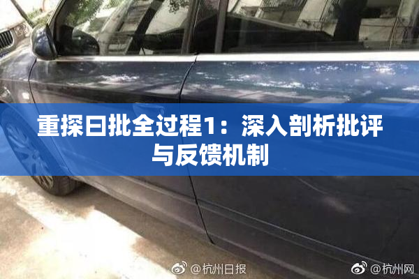 重探曰批全过程1：深入剖析批评与反馈机制