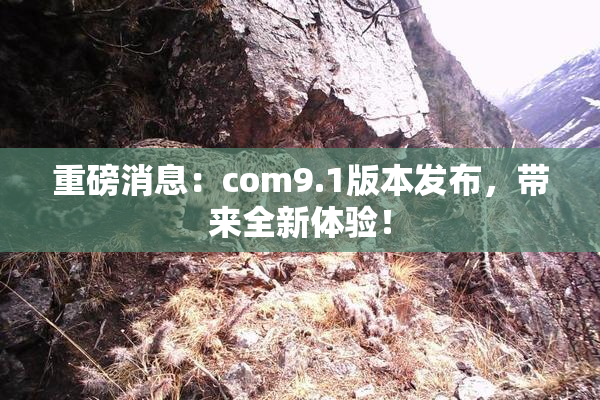 重磅消息：com9.1版本发布，带来全新体验！