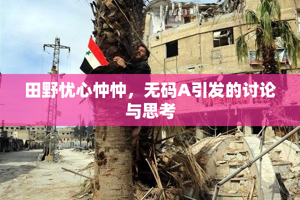 田野忧心忡忡，无码A引发的讨论与思考