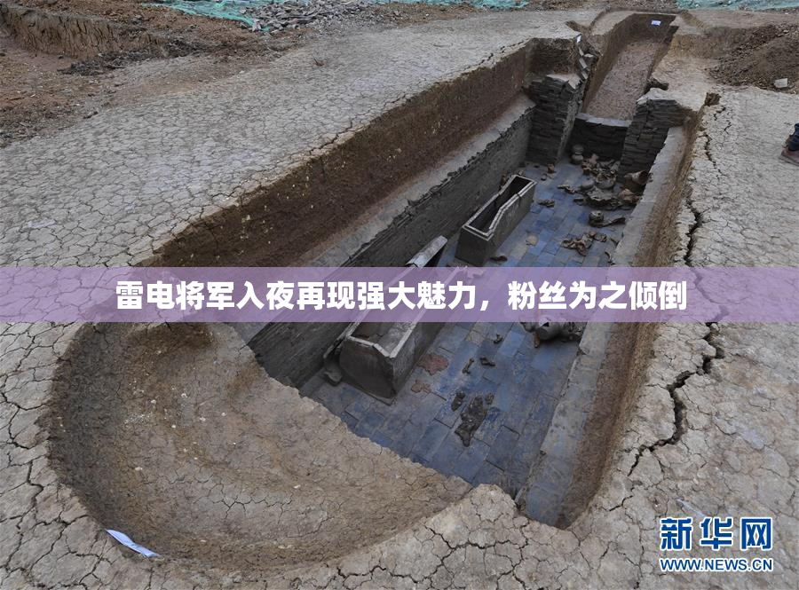 雷电将军入夜再现强大魅力，粉丝为之倾倒