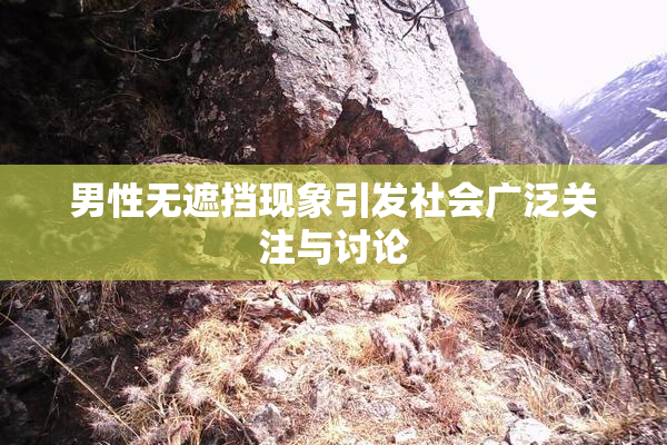 男性无遮挡现象引发社会广泛关注与讨论