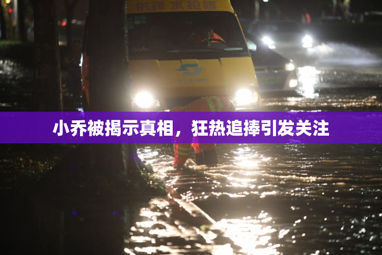 小乔被揭示真相，狂热追捧引发关注