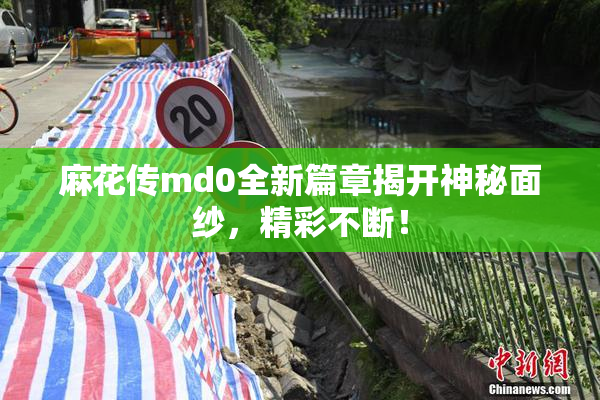 麻花传md0全新篇章揭开神秘面纱，精彩不断！