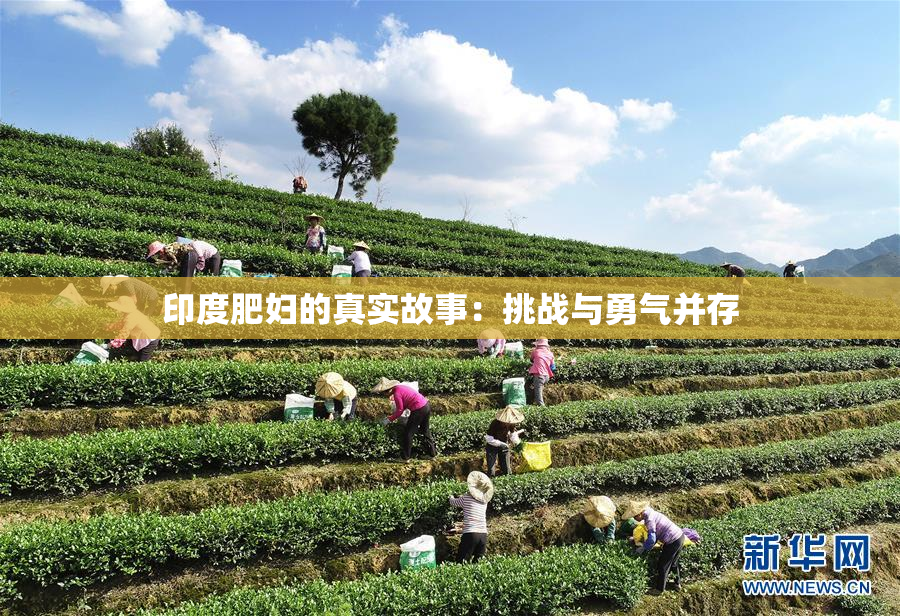 印度肥妇的真实故事：挑战与勇气并存