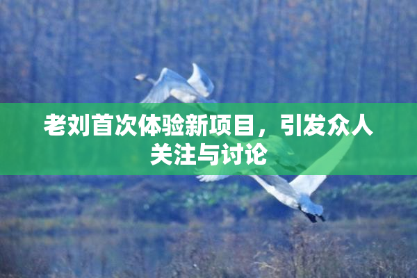 老刘首次体验新项目，引发众人关注与讨论