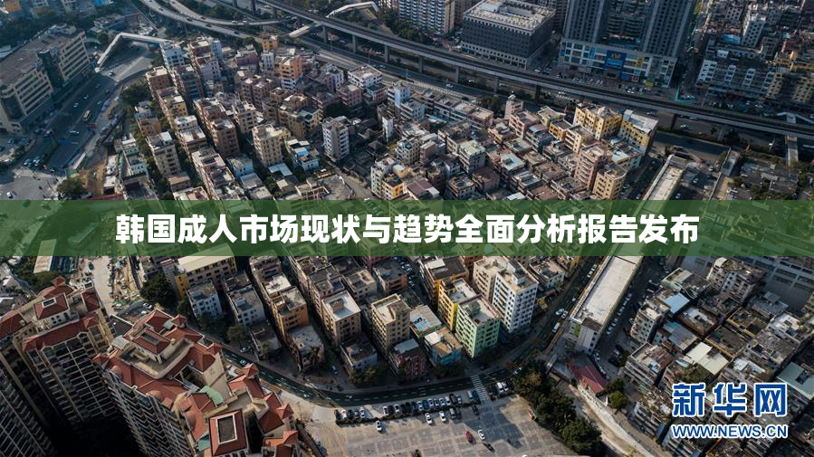 韩国成人市场现状与趋势全面分析报告发布