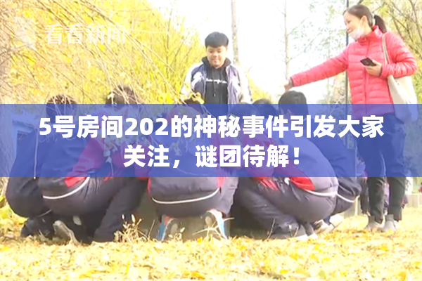 5号房间202的神秘事件引发大家关注，谜团待解！