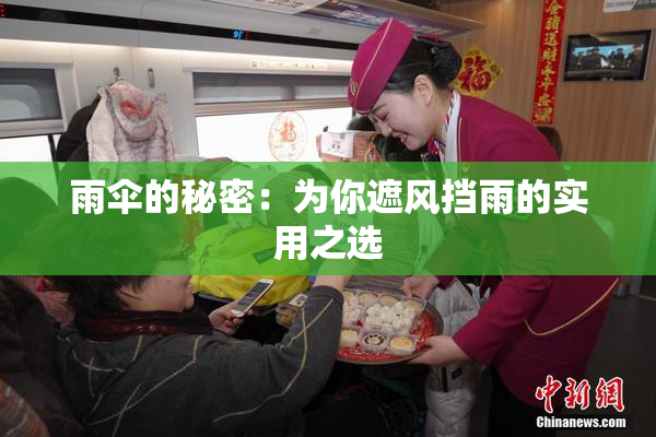 雨伞的秘密：为你遮风挡雨的实用之选