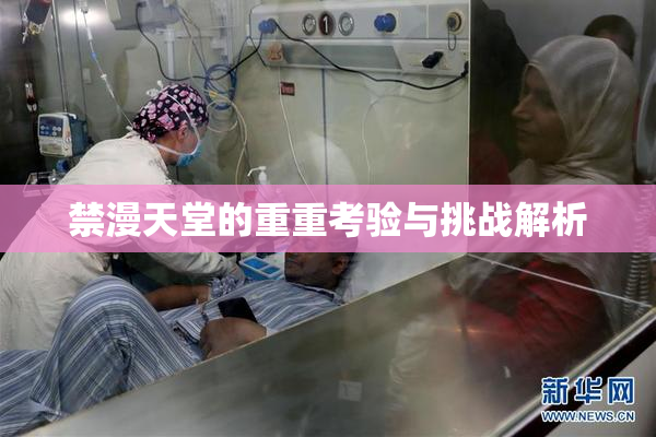 禁漫天堂的重重考验与挑战解析