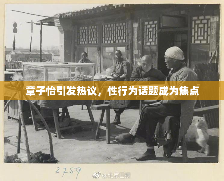 章子怡引发热议，性行为话题成为焦点