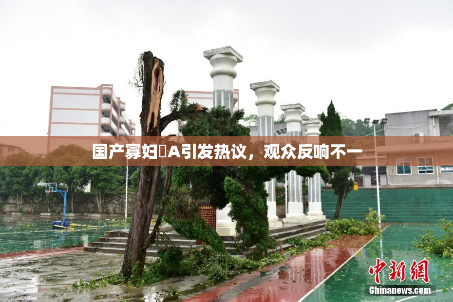 国产寡妇婬A引发热议，观众反响不一