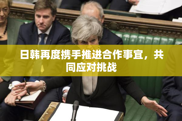 日韩再度携手推进合作事宜，共同应对挑战