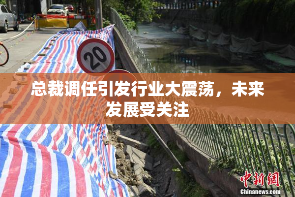 总裁调任引发行业大震荡，未来发展受关注