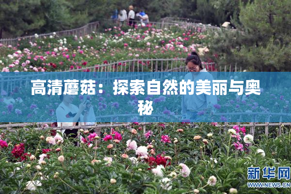 高清蘑菇：探索自然的美丽与奥秘