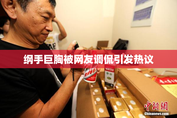 纲手巨胸被网友调侃引发热议