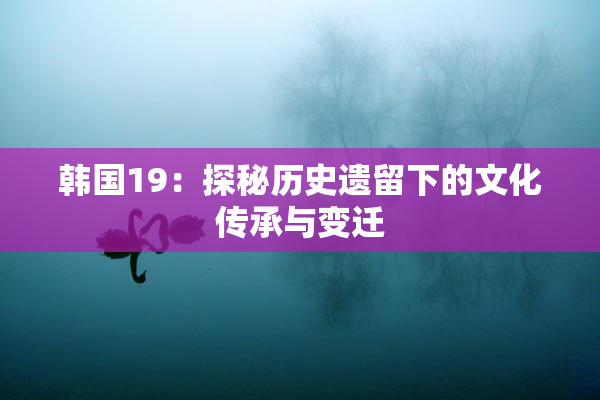 韩国19：探秘历史遗留下的文化传承与变迁