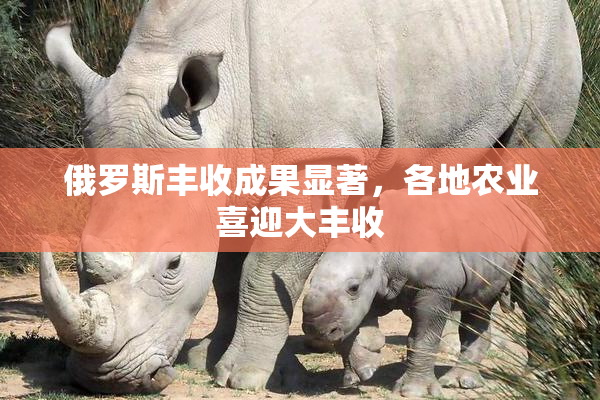 俄罗斯丰收成果显著，各地农业喜迎大丰收