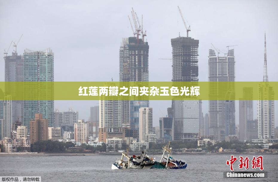 红莲两瓣之间夹杂玉色光辉