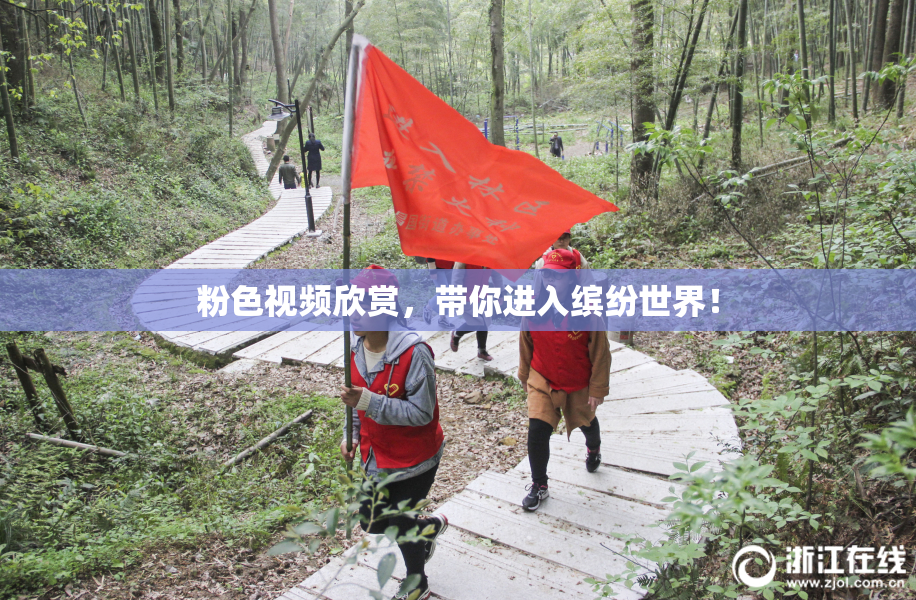 粉色视频欣赏，带你进入缤纷世界！