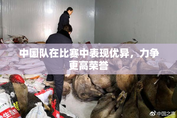 中国队在比赛中表现优异，力争更高荣誉