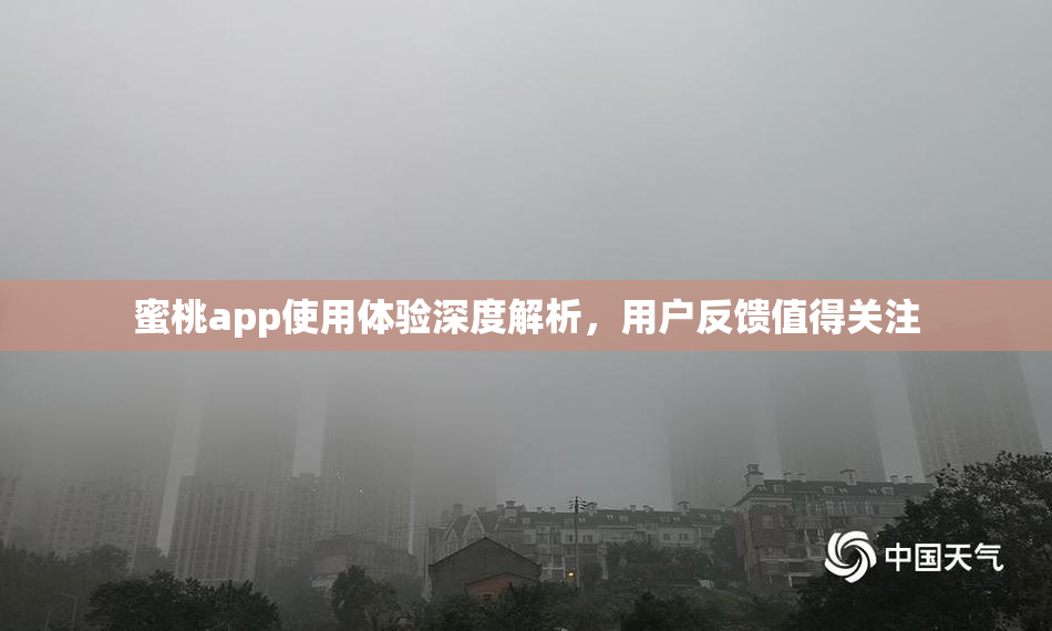 蜜桃app使用体验深度解析，用户反馈值得关注