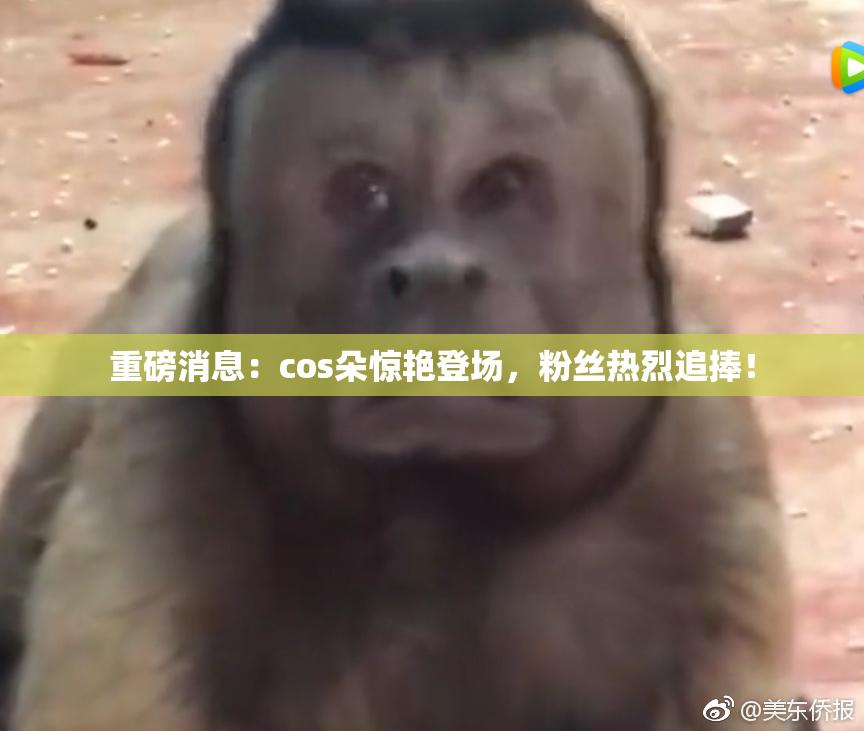 重磅消息：cos朵惊艳登场，粉丝热烈追捧！