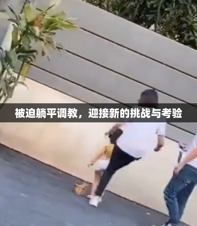 被迫躺平调教，迎接新的挑战与考验