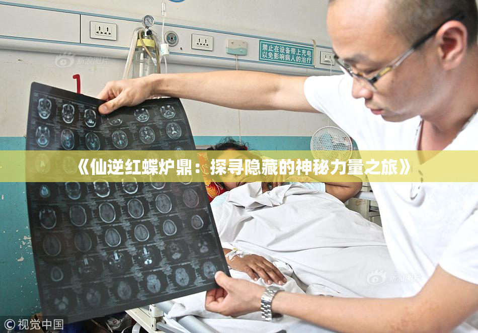 《仙逆红蝶炉鼎：探寻隐藏的神秘力量之旅》