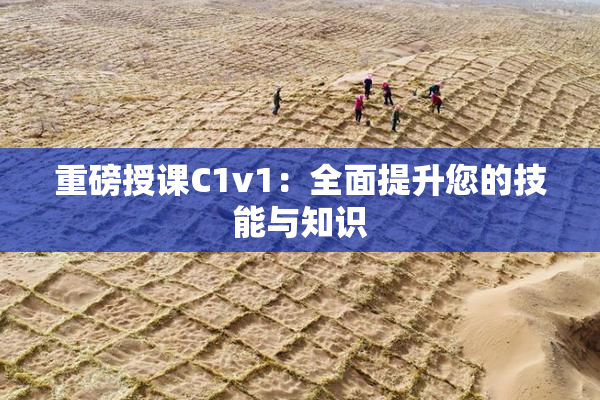 重磅授课C1v1：全面提升您的技能与知识