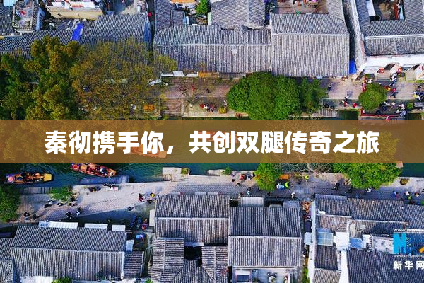 秦彻携手你，共创双腿传奇之旅