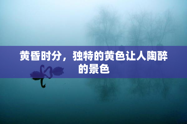 黄昏时分，独特的黄色让人陶醉的景色