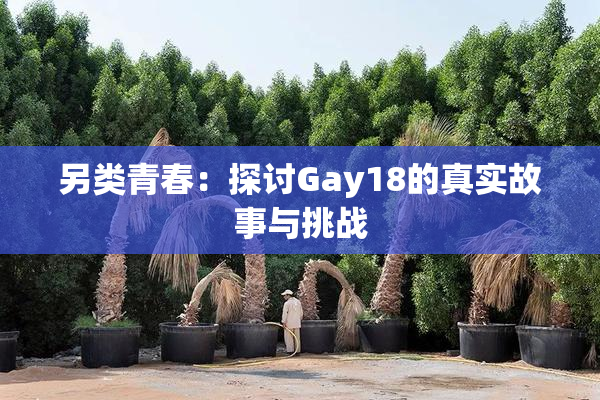 另类青春：探讨Gay18的真实故事与挑战