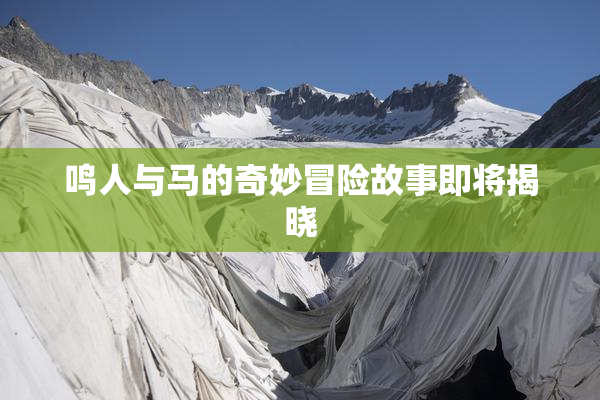 鸣人与马的奇妙冒险故事即将揭晓