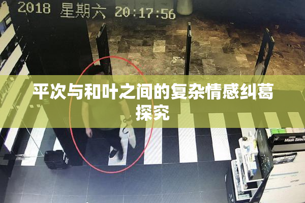 平次与和叶之间的复杂情感纠葛探究