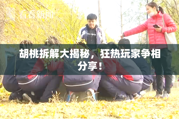 胡桃拆解大揭秘，狂热玩家争相分享！