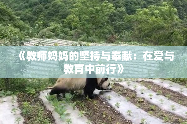 《教师妈妈的坚持与奉献：在爱与教育中前行》