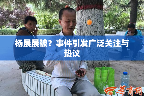 杨晨晨被？事件引发广泛关注与热议